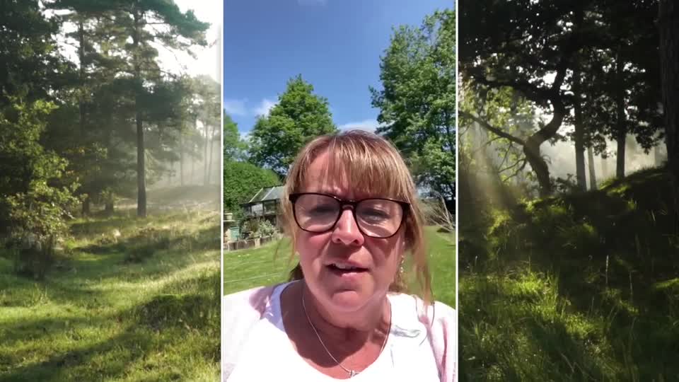 Still image out of testimonial from Jane Ward