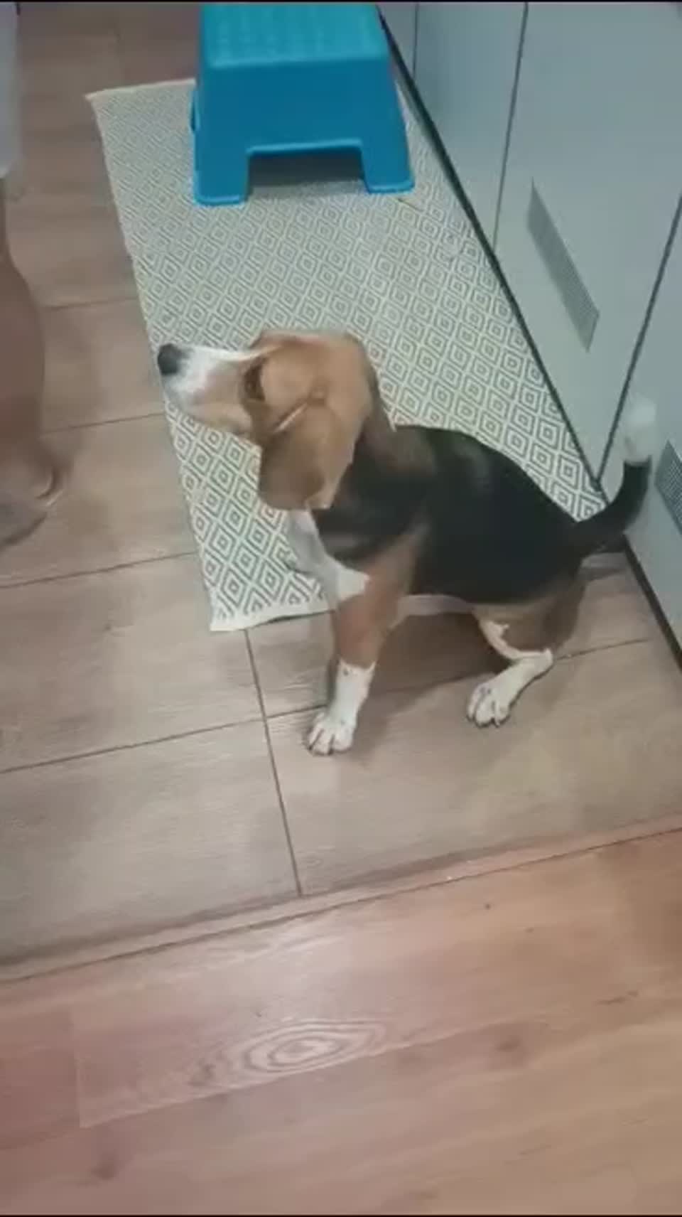 Still image out of testimonial from Chloe