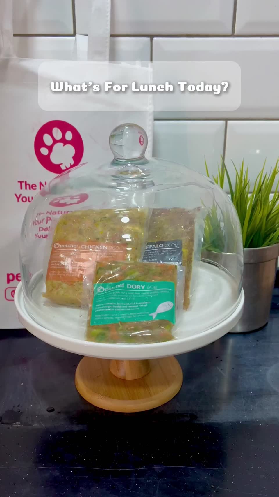 Still image out of testimonial from Chan MC