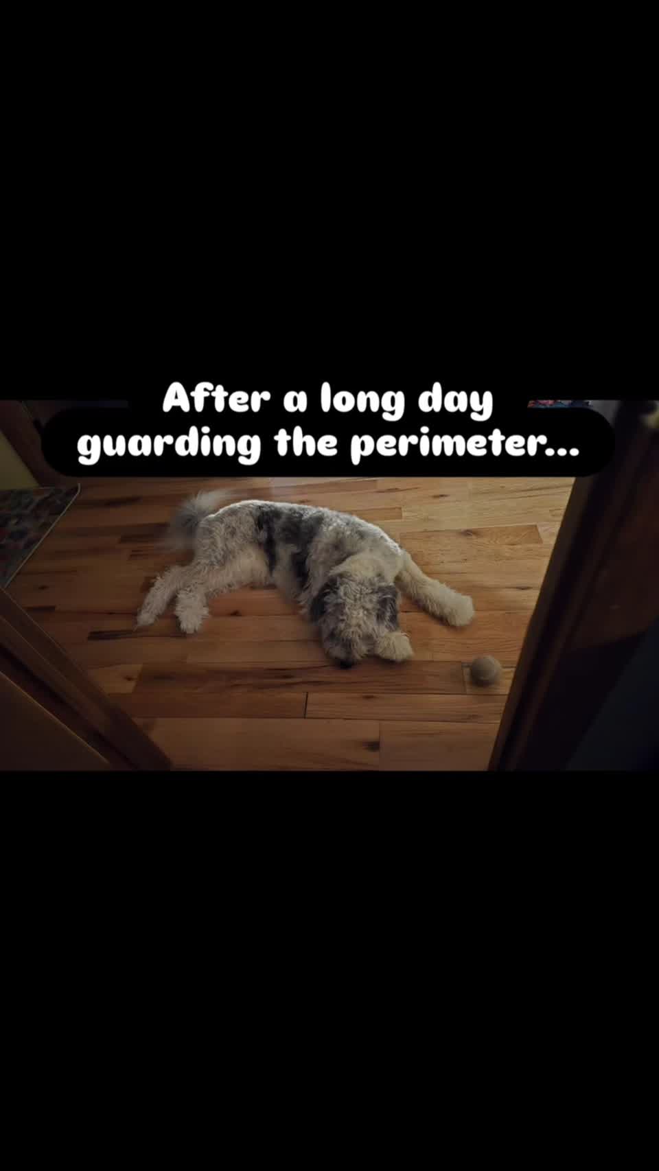 Still image out of testimonial from Jennifer Hare